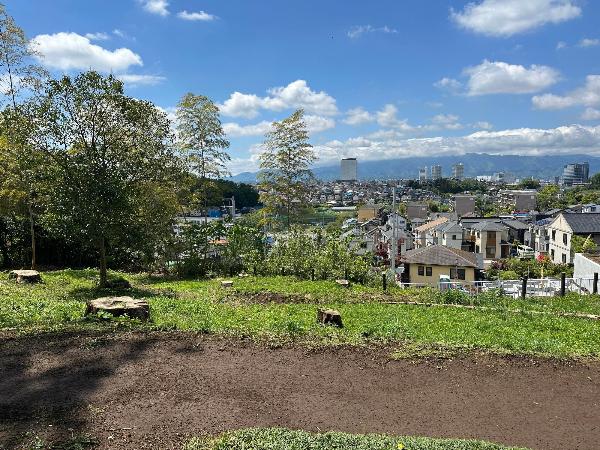 お伊勢宮の森から見た景色