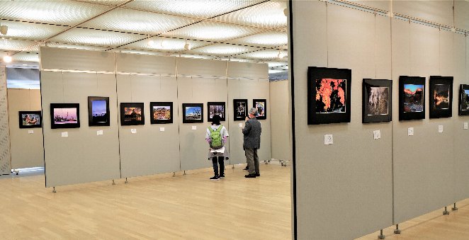 パネルに黒い額縁に入った写真が展示されている市民文化祭写真部門が開催されている写真