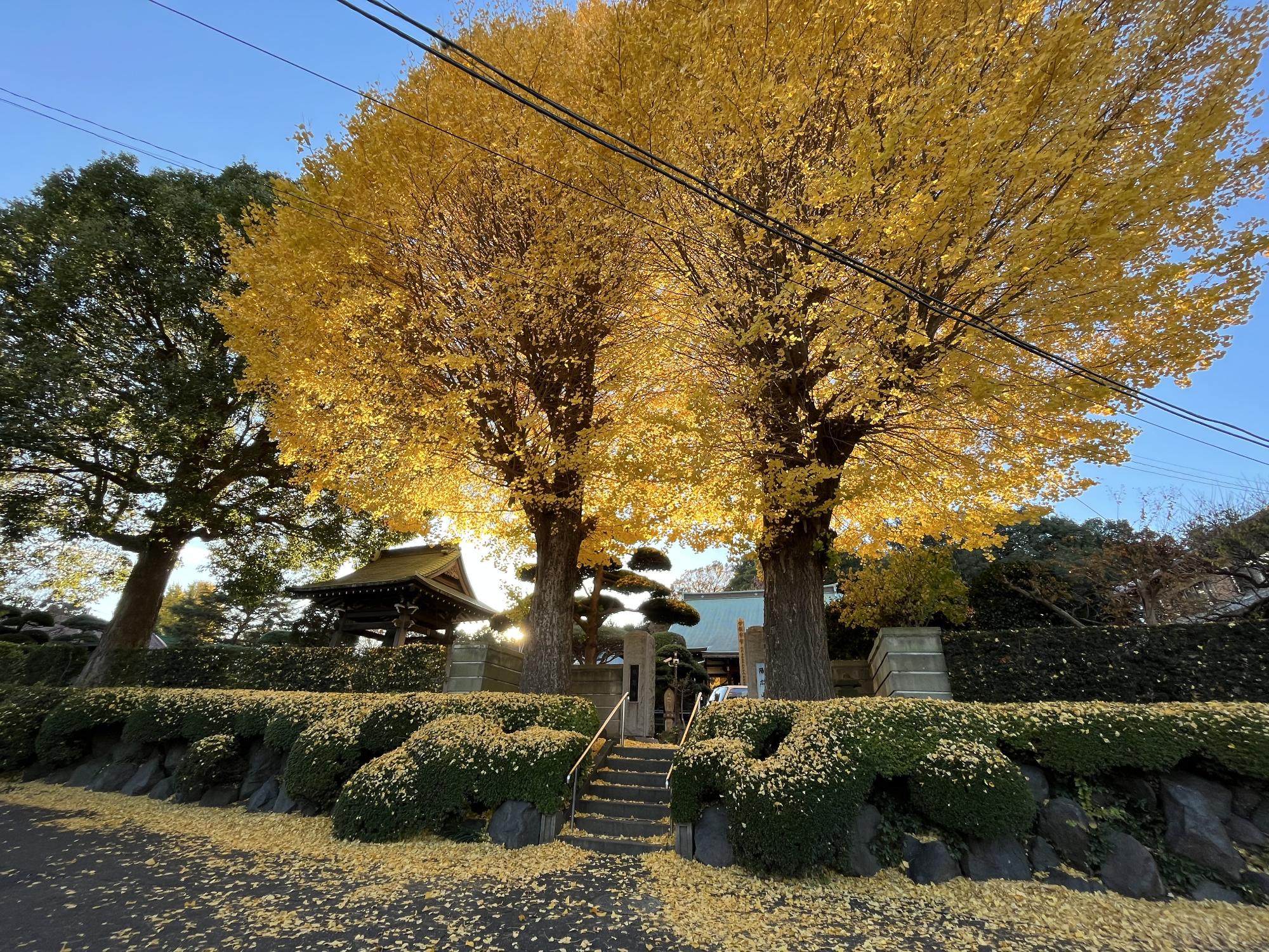 報恩寺