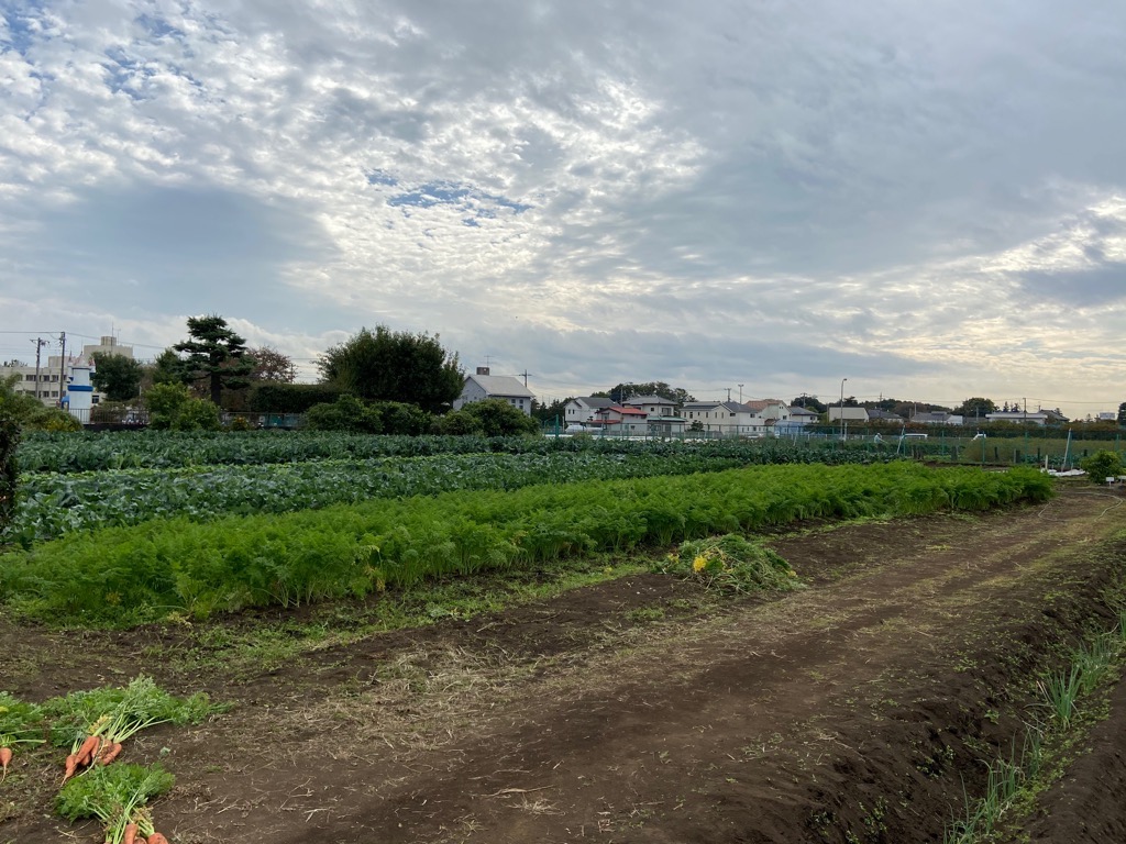 旬菜 みのりファーム