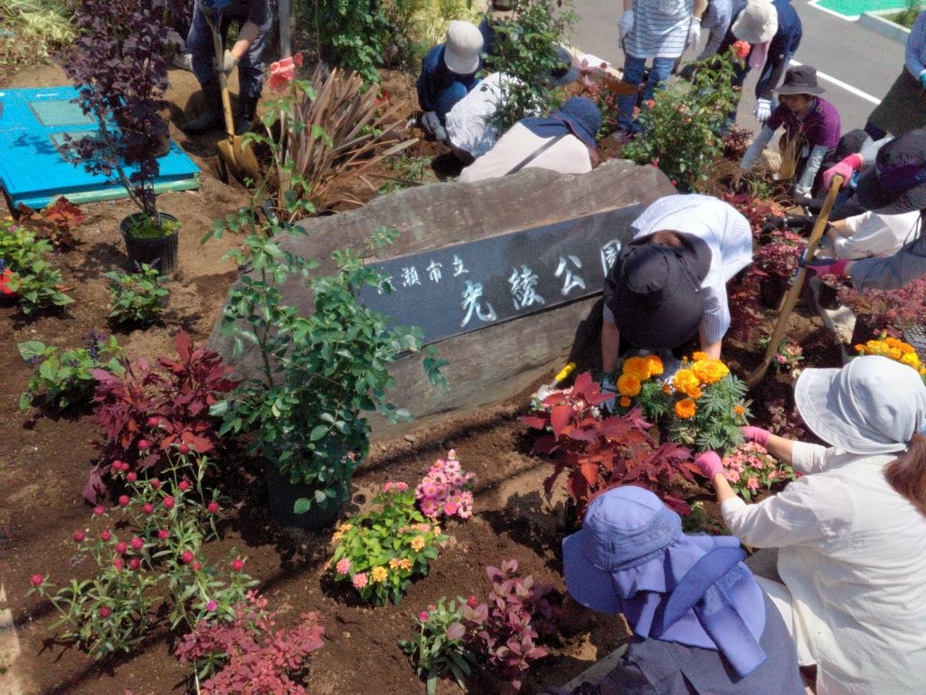 光綾公園花壇にて花を植える写真(2)