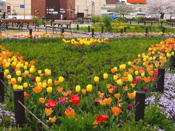 花いっぱいの花壇の様子