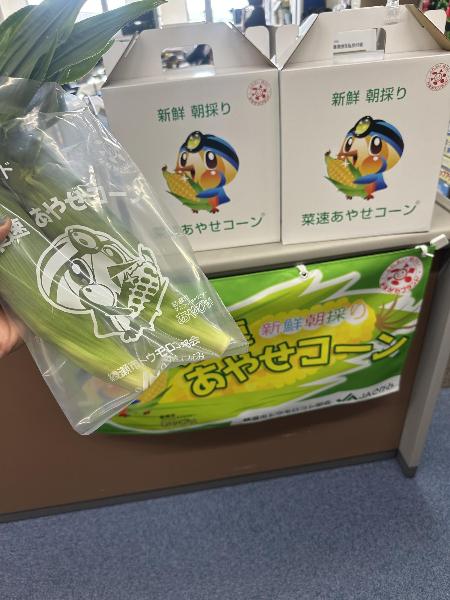 あやせ菜速コーン販売会で販売されたトウモロコシ