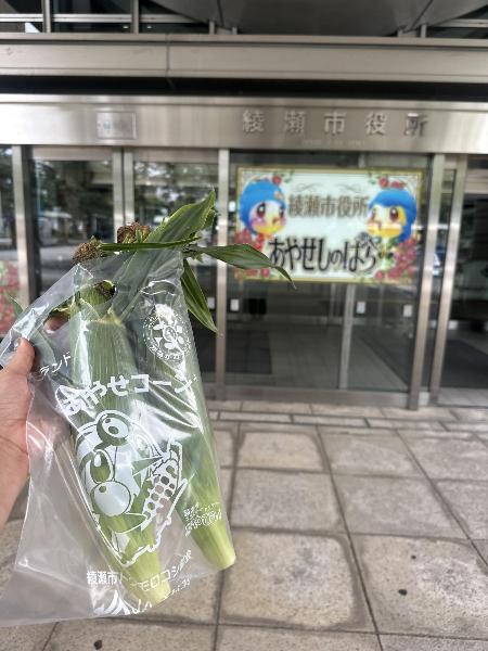 市役所とあやせ菜速コーン販売会で販売されたトウモロコシ