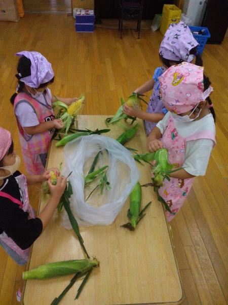 5歳児クラスで実施したとうもろこしの皮むきの様子