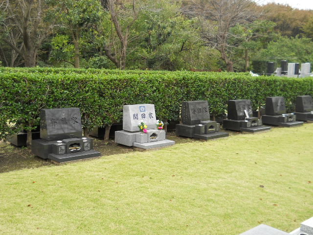一面芝生が植えられた背の低い生垣の手前に間隔をあけて横1列に墓石が並んでいる芝生墓所の写真