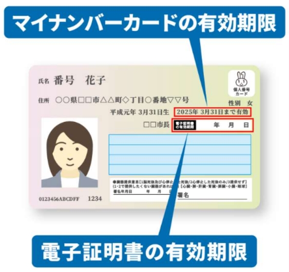 マイナンバー有効期限見本