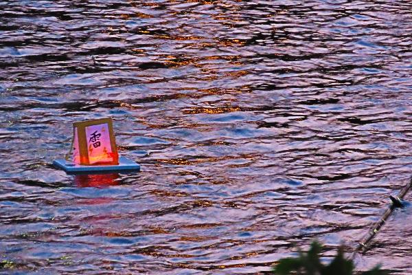 蓼川を流れる灯籠の写真