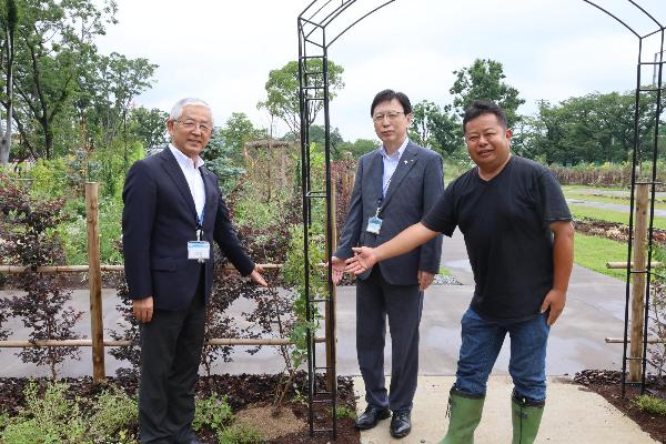 植樹の様子