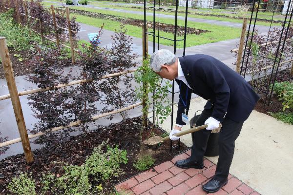 植樹の様子