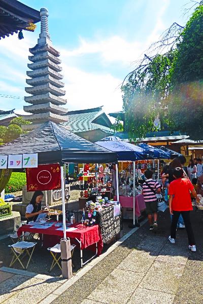 大法寺でのパルシェの様子