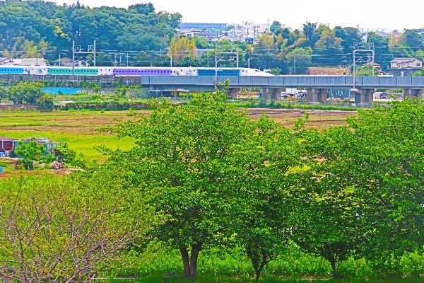 神崎遺跡から見た色違い新幹線