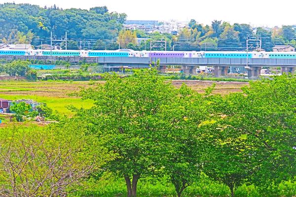 神崎遺跡から見た色違い新幹線