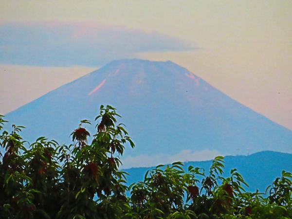 オーエンス文化会館で富士山