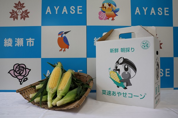 副賞品の菜速あやせコーン