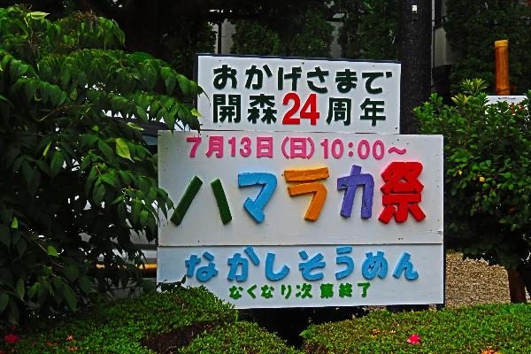 綾瀬市こどもドリームプレイウッズ