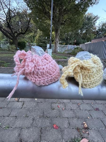 衣装を着たピコリーノ