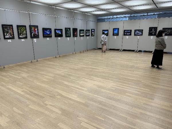 市民文化祭の様子