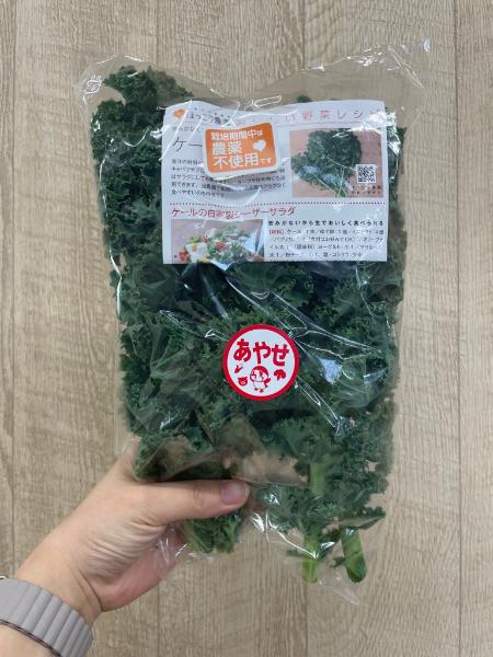 「あやせ地産地消シール」を貼ったケール