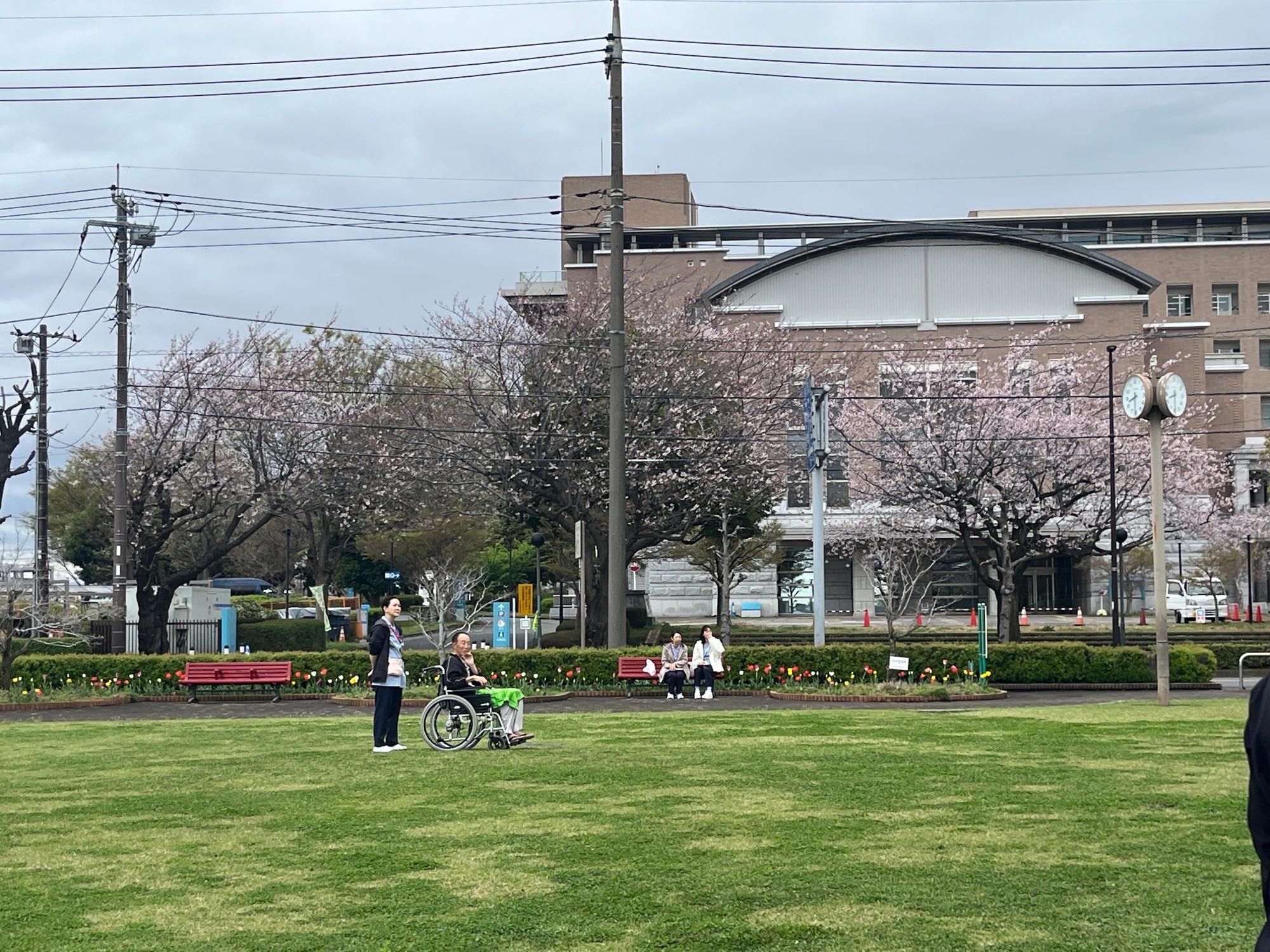 東山公園 芝の広場での撮影風景