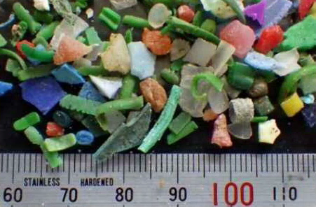 様々な色や形をした沢山のマイクロプラスチックとステンレス定規が置かれた写真