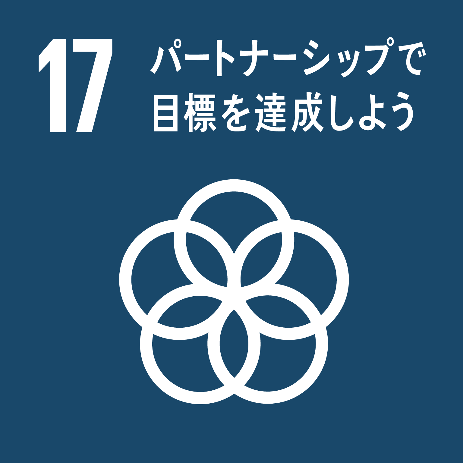 「17.パートナーシップで目標を達成しよう」の文字と目標17のロゴ