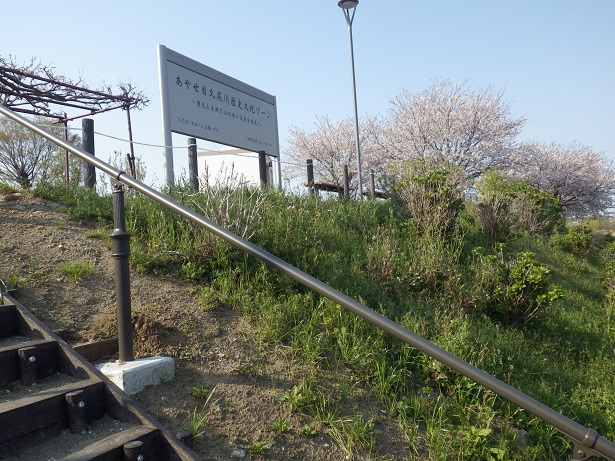 サイクリングロードの土手の上に見える「あやせ目久尻川歴史文化ゾーン」と書かれた案内版の写真