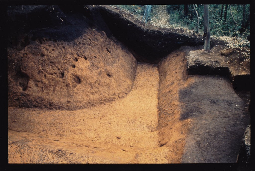 土が堀り起こされ、土塁に囲まれた中にこんもりとした山のようなものがある発掘調査時の堀切の写真