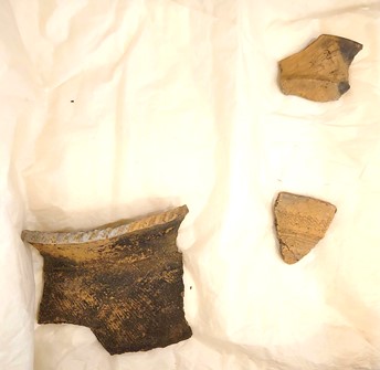 出張中の土器片