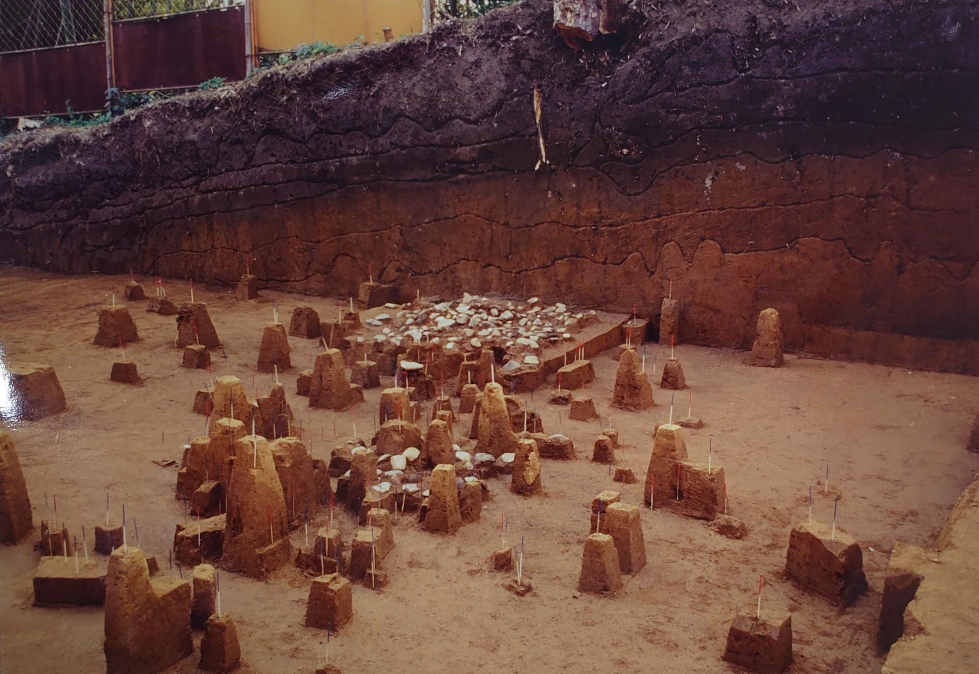 笹山遺跡（上土棚）の発掘の様子