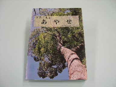 大きな木を下から見上げて写した写真がのっている『綾瀬市史10 別編 ダイジェスト 写真で見るあやせ』の表紙