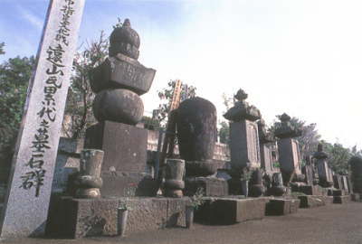 古い墓石が並んでいる遠山氏累代の墓碑群の写真