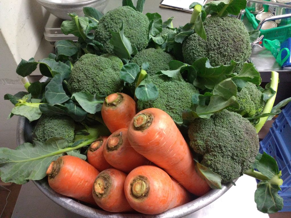 ボールにたくさん積まれたブロッコリーと人参