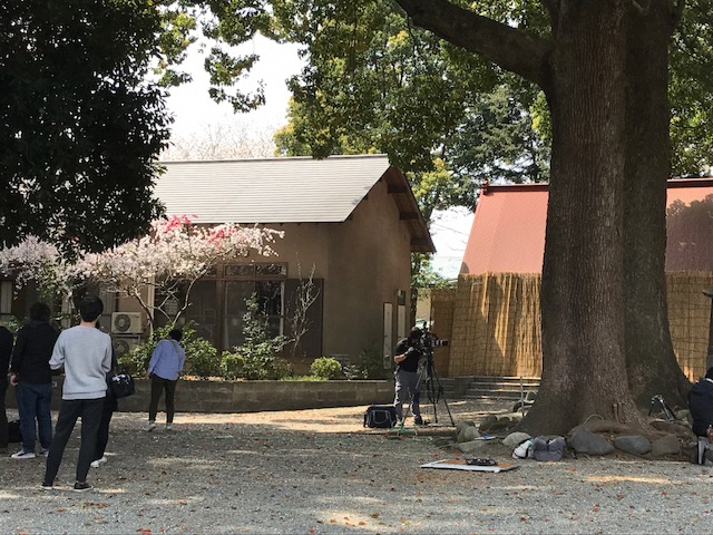 1本の大木が生えている神社の境内でカメラマンが撮影を行っている写真
