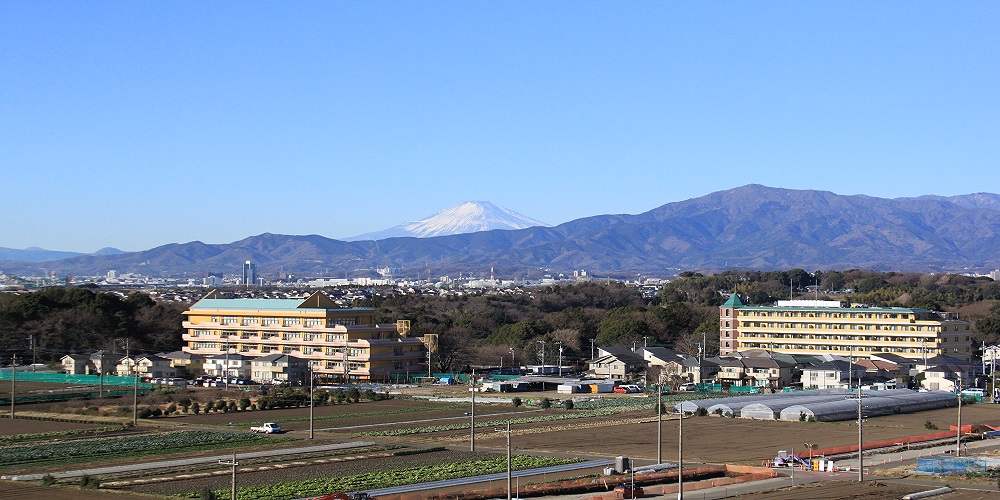 市役所屋上からの風景