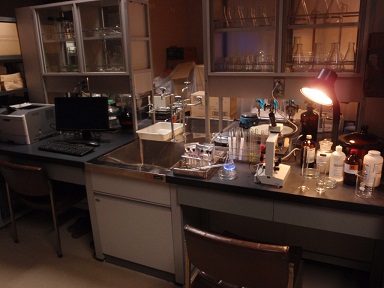 棚には三角フラスコ、台の上には試験管や顕微鏡、薬品などが置かれ、顕微鏡にライトが当てられている実験室のような場所の写真
