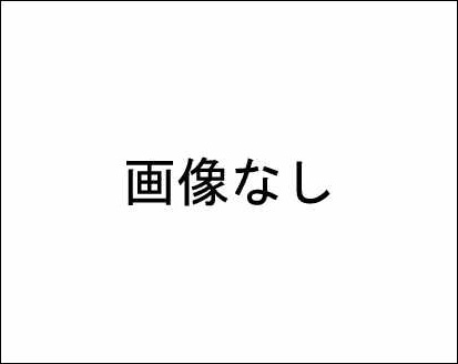 画像無し