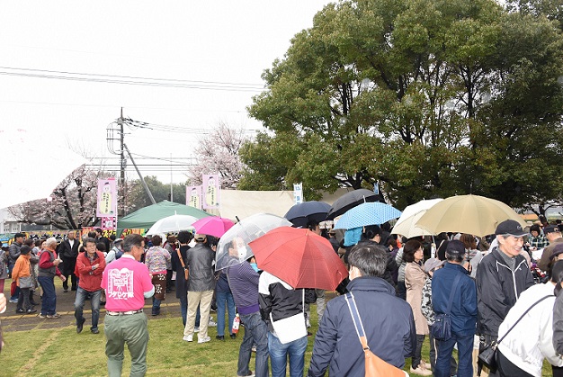 沢山の人達が傘を差して並んでいる桜まつり会場の様子の写真