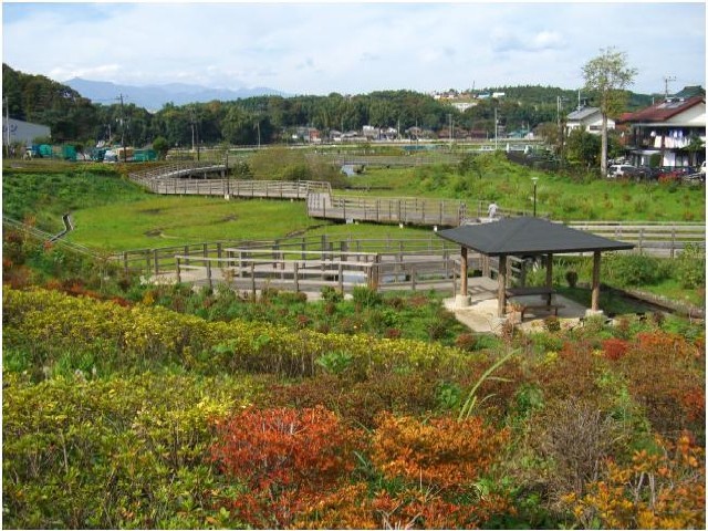 所々赤く色づく木々の奥に屋根付きのベンチとそこにつながる草木に囲まれた木の橋が架かっている蟹ヶ谷公園湿生園の写真