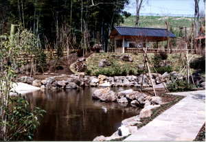 大きな石で囲まれた池の奥に雑木林が広がる日本庭園の写真